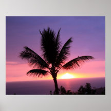 Palmier hawaïen et coucher de soleil coloré