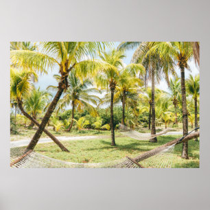 Poster Palmier le matin