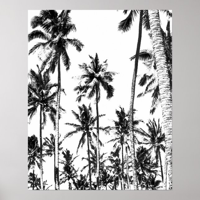 Poster Palmier noir et blanc été tropical (Devant)