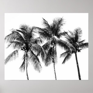 Poster Palmier noir et blanc été tropical