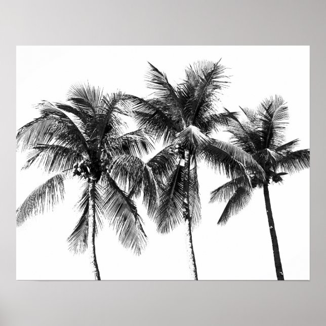 Poster Palmier noir et blanc été tropical (Devant)