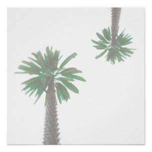 Poster Palmier Stylisé Pastel Green Tropical
