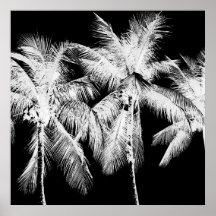 Palmier tropical d'été hawaii noir et blanc