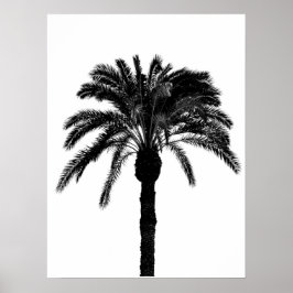 Poster palmier tropical noir et blanc