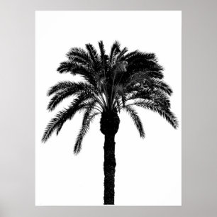Poster palmier tropical noir et blanc