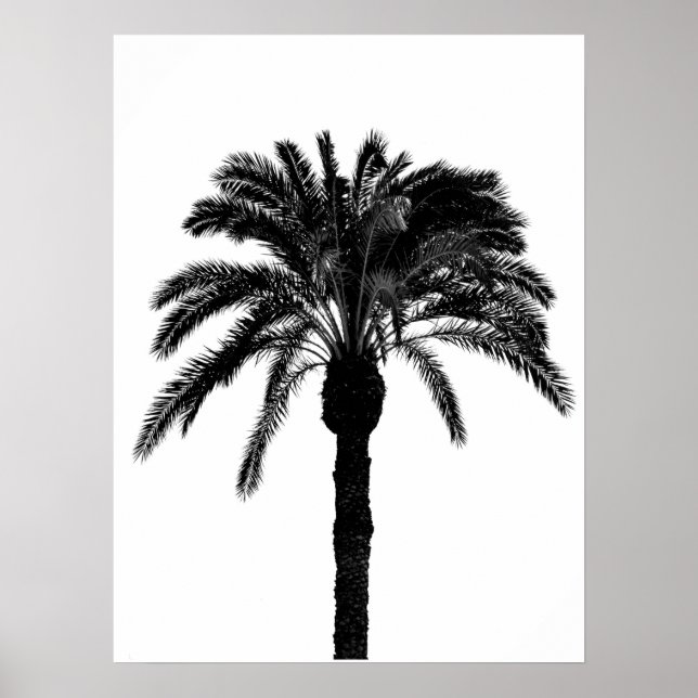 Poster palmier tropical noir et blanc (Devant)