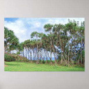 Poster Palmiers à pied à Hawaii