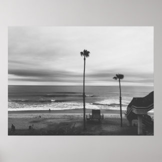 Poster Palmiers de Californie