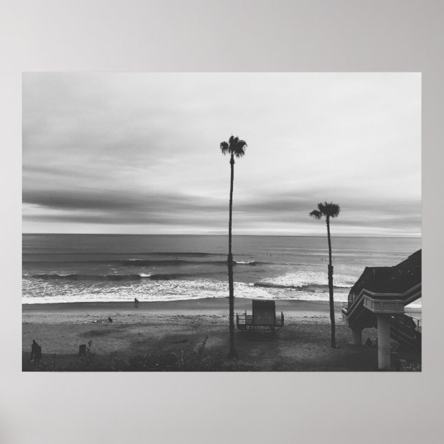 Poster Palmiers de Californie (Devant)