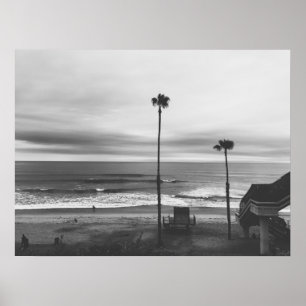 Poster Palmiers de la Californie