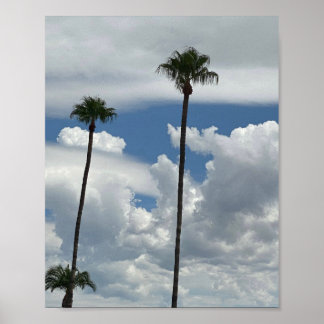 Poster Palmiers 🌴 Et Nuages ⛅️