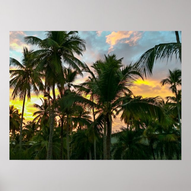 Poster Palmiers Hawaiian Exotic Beach (Devant)
