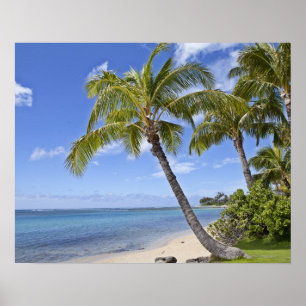 Poster Palmiers sur la plage en Hawaï