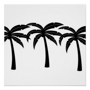 Poster Palmiers tropicaux