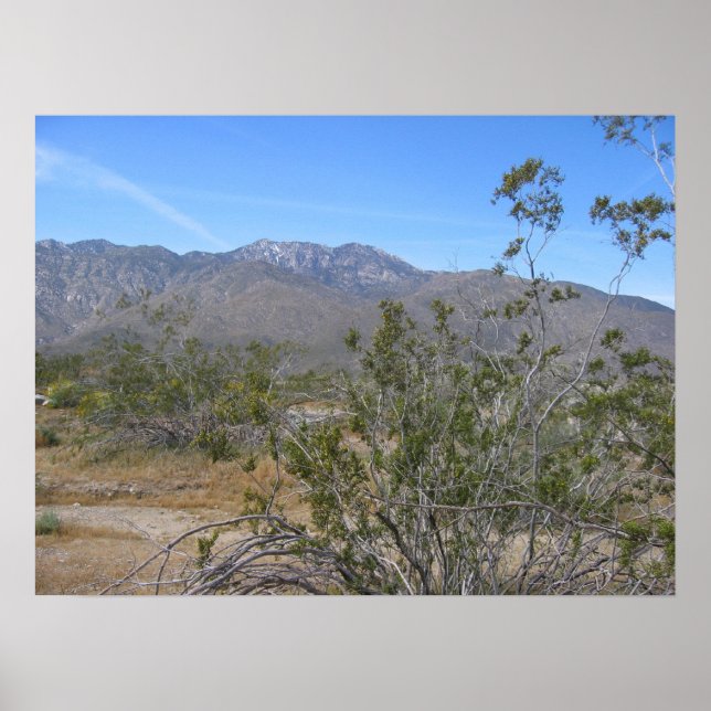 Poster PalmSprings (26) (Devant)