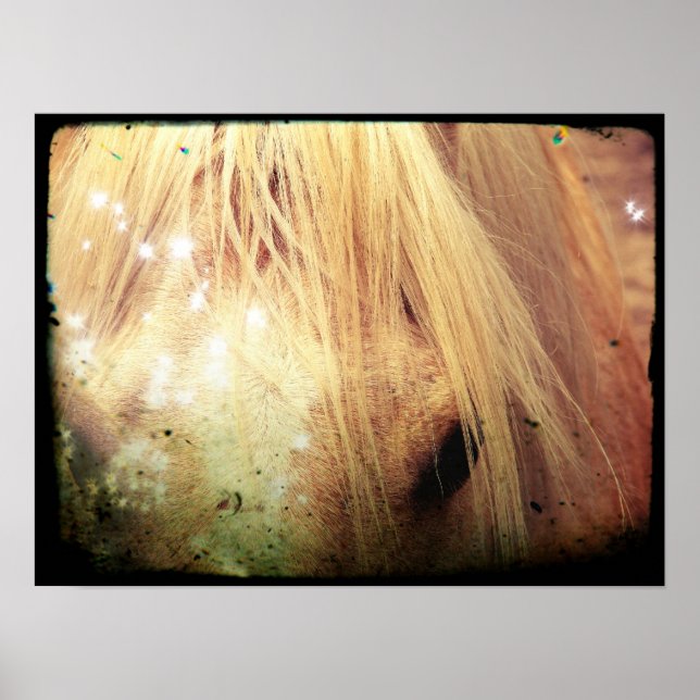Poster Palomino Parties scintillant Grunge (Devant)