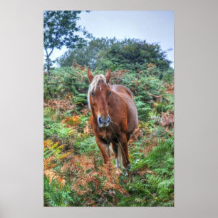 Poster Palomino Rare New Forest Pony & Bracken - Angleter
