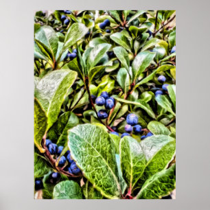 Poster Pamela Storch - Blueberry Bush Serenade