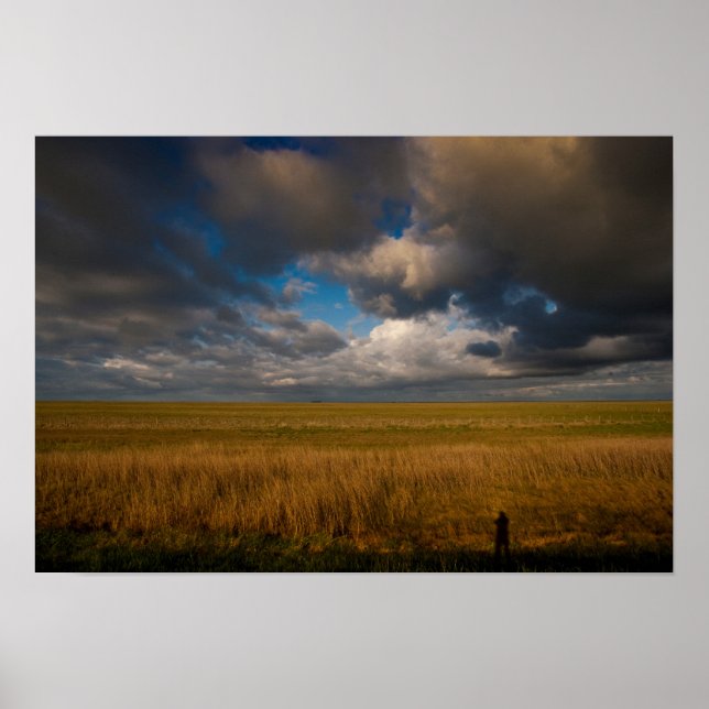 Poster Pampas (Devant)