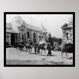 Poster Pan Am Expo Camel Parade 1901