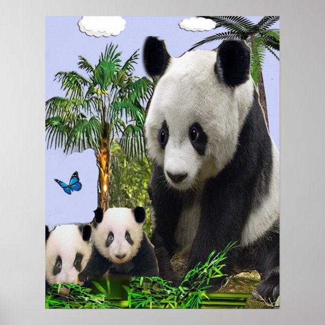 Poster Panda Bears (Devant)