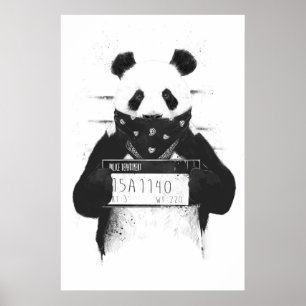 Poster Panda incorrecte