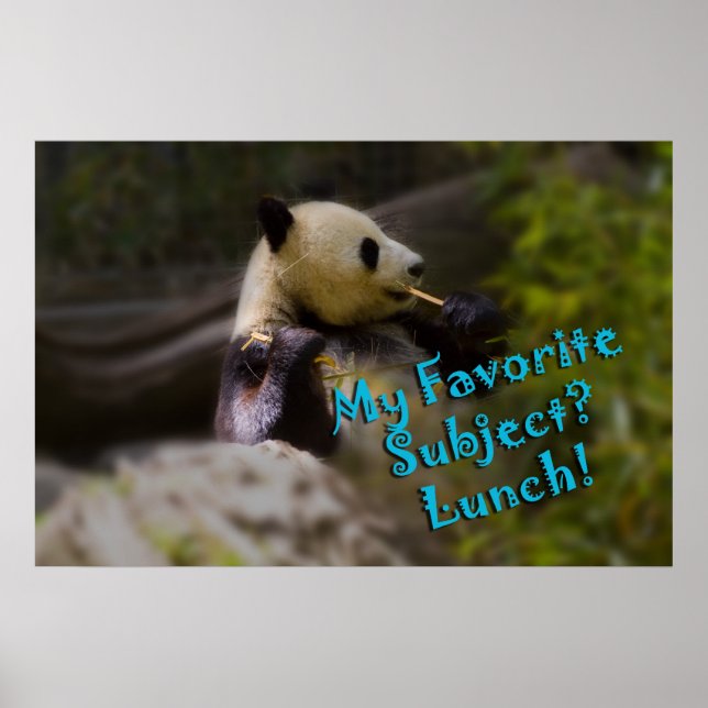 Poster Panda Lunch (Devant)