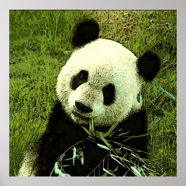Poster Panda - Posters Panda Imprimés (Devant)
