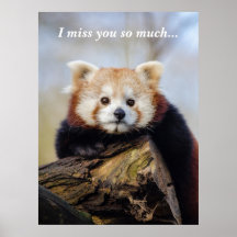Panda Rouge Mignonne Vous Manque Tellement