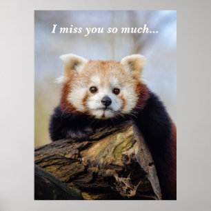 Poster Panda Rouge Mignonne Vous Manque Tellement