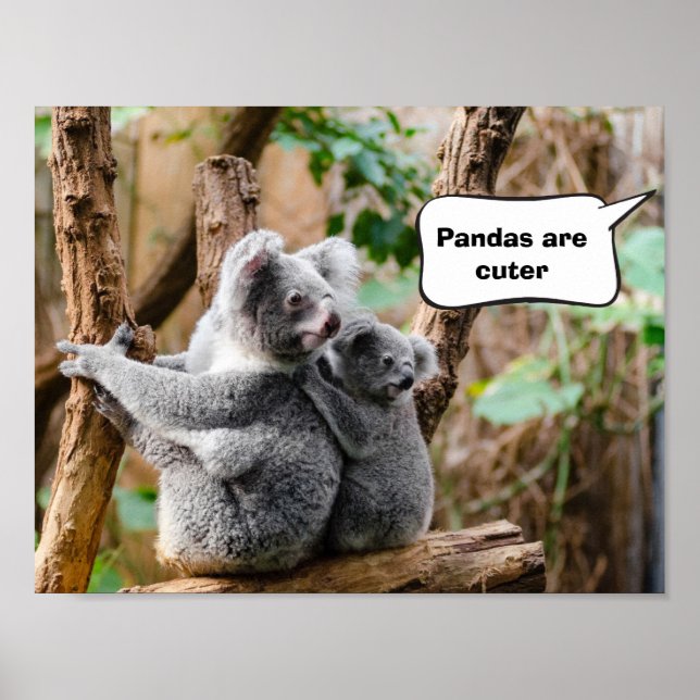 Poster Pandas ou Koalas - Qui sont plus mignons ? (Devant)