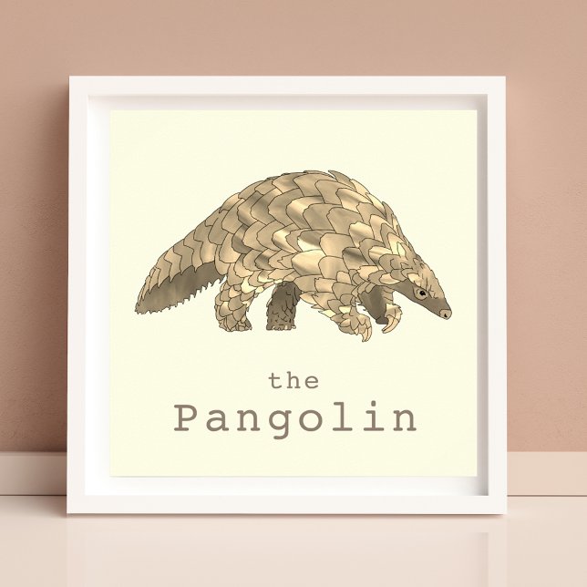 Poster Pangolin Menacé Les Droits Des Animaux Activisme A (Cute pangolin rare wildlife animal art poster by artist Catherine Sweetman )