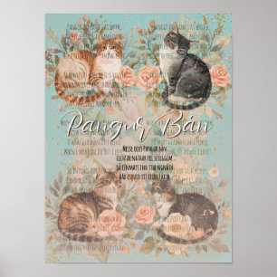 Poster Pangur Bán Chat du jardin de cottage floral Rose v