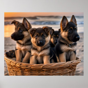 Poster Panier rempli de chiots allemands