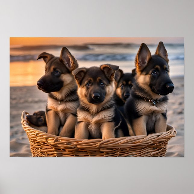 Poster Panier rempli de chiots allemands (Devant)