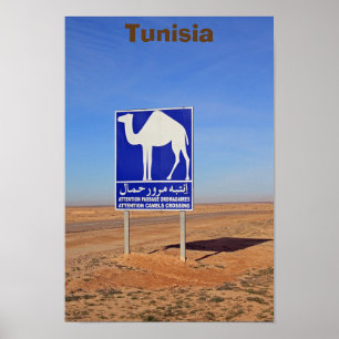 Poster Panneau de chameaux, Tunisie