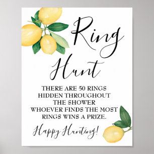 Poster Panneau de jeu pour la Baby Shower : Chasse aux ci