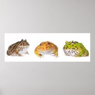 Poster Panorama de l'affiche Pacman