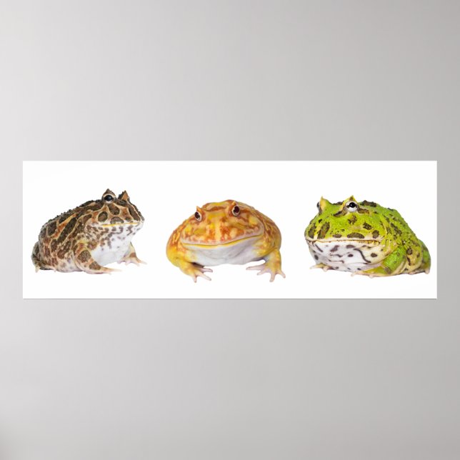 Poster Panorama de l'affiche Pacman (Devant)