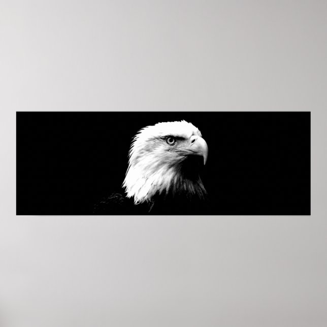 Poster Panoramique de l'aigle américain Imprimer (Devant)