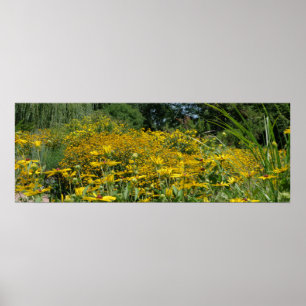 Poster Panoramique fleur sauvage Meadow