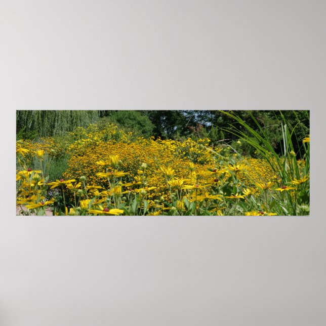 Poster Panoramique fleur sauvage Meadow (Devant)