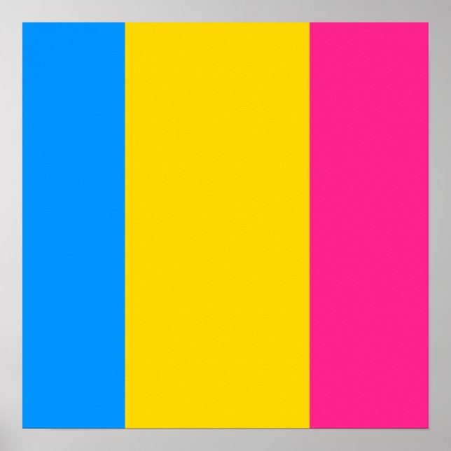 Poster Pansexuel Fière (Devant)