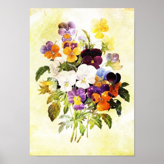 Poster Pansies (Devant)