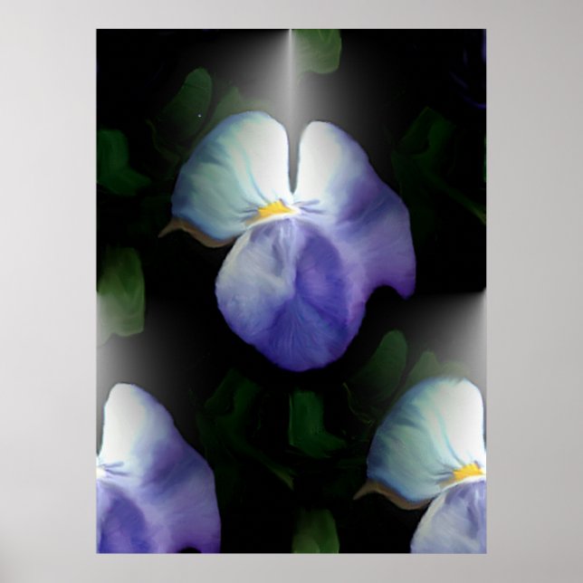 Poster Pansies (Devant)