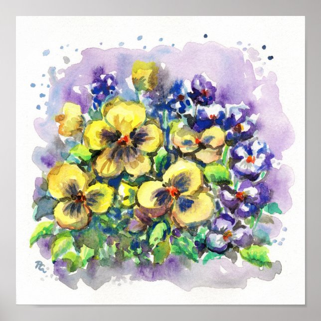 Poster Pansies de ressort (Devant)