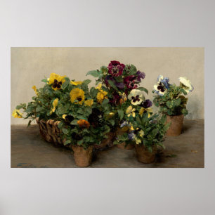 Poster Pansies - Henri Fantin-Latour
