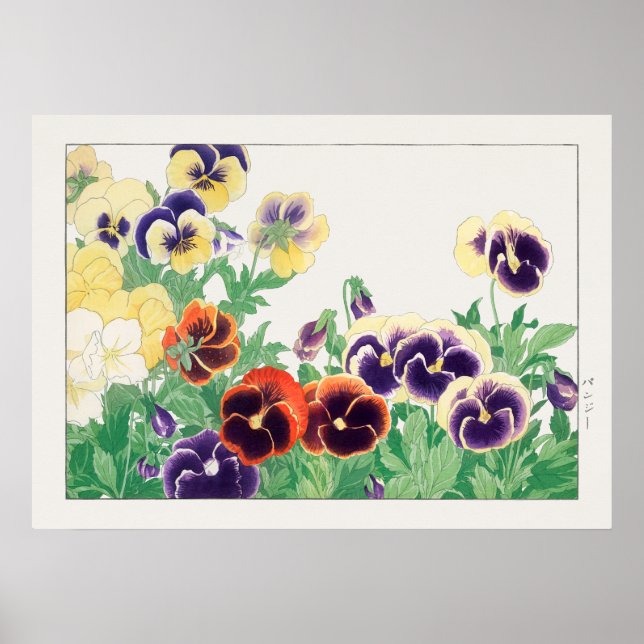 Poster Pansies rouge, violet et jaune, Konan, (Devant)