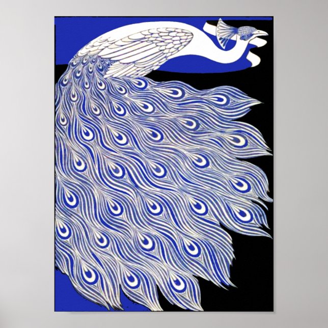 Poster Paon Bleu (Devant)