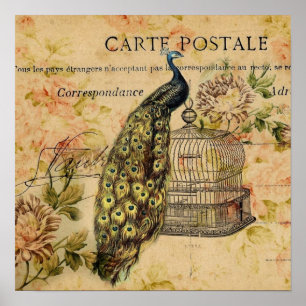 Poster paon français de cru de nouveau d'art de pays